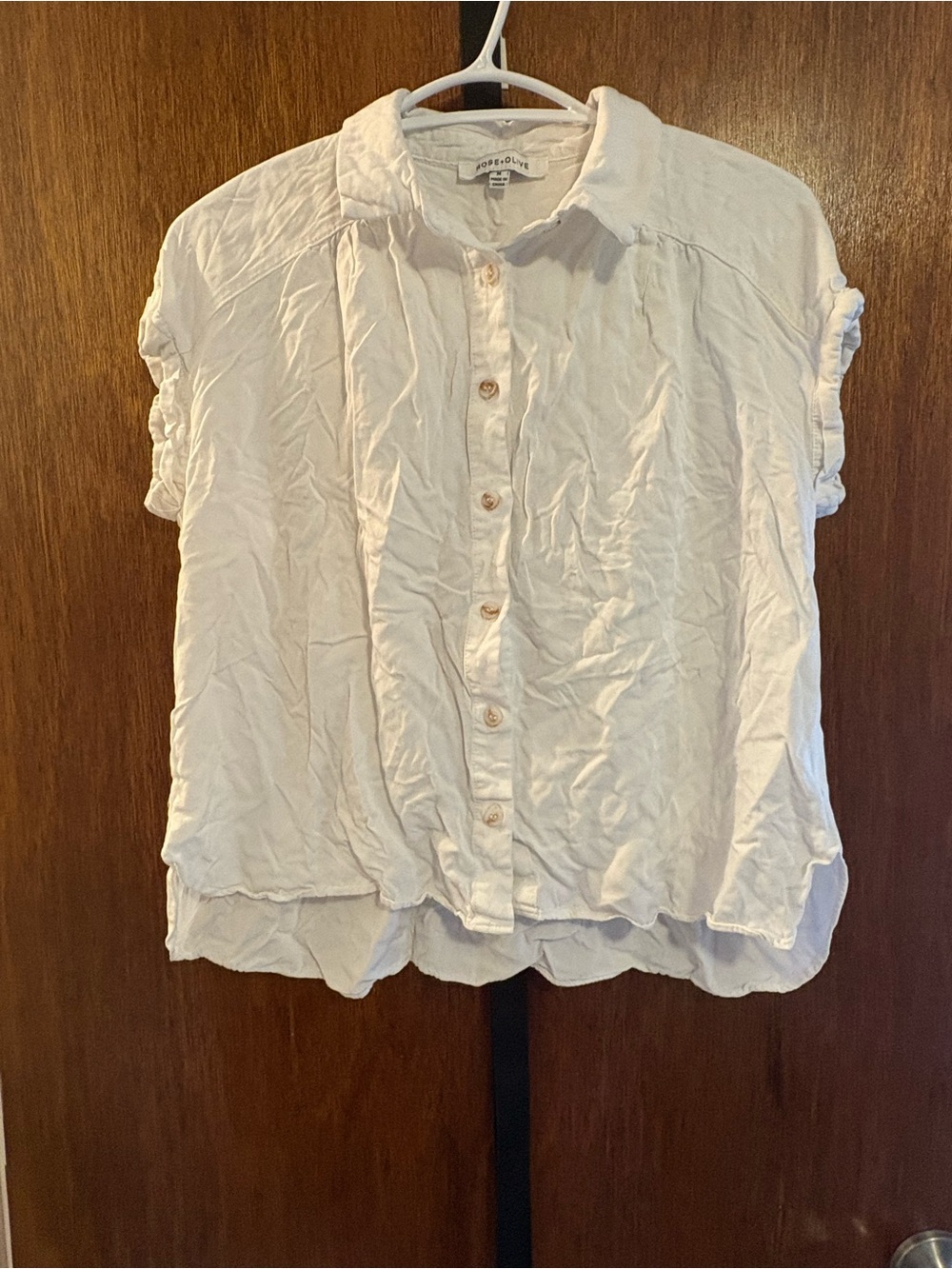 Rose & Olive Cream Short-Sleeve Button-Down Shirt